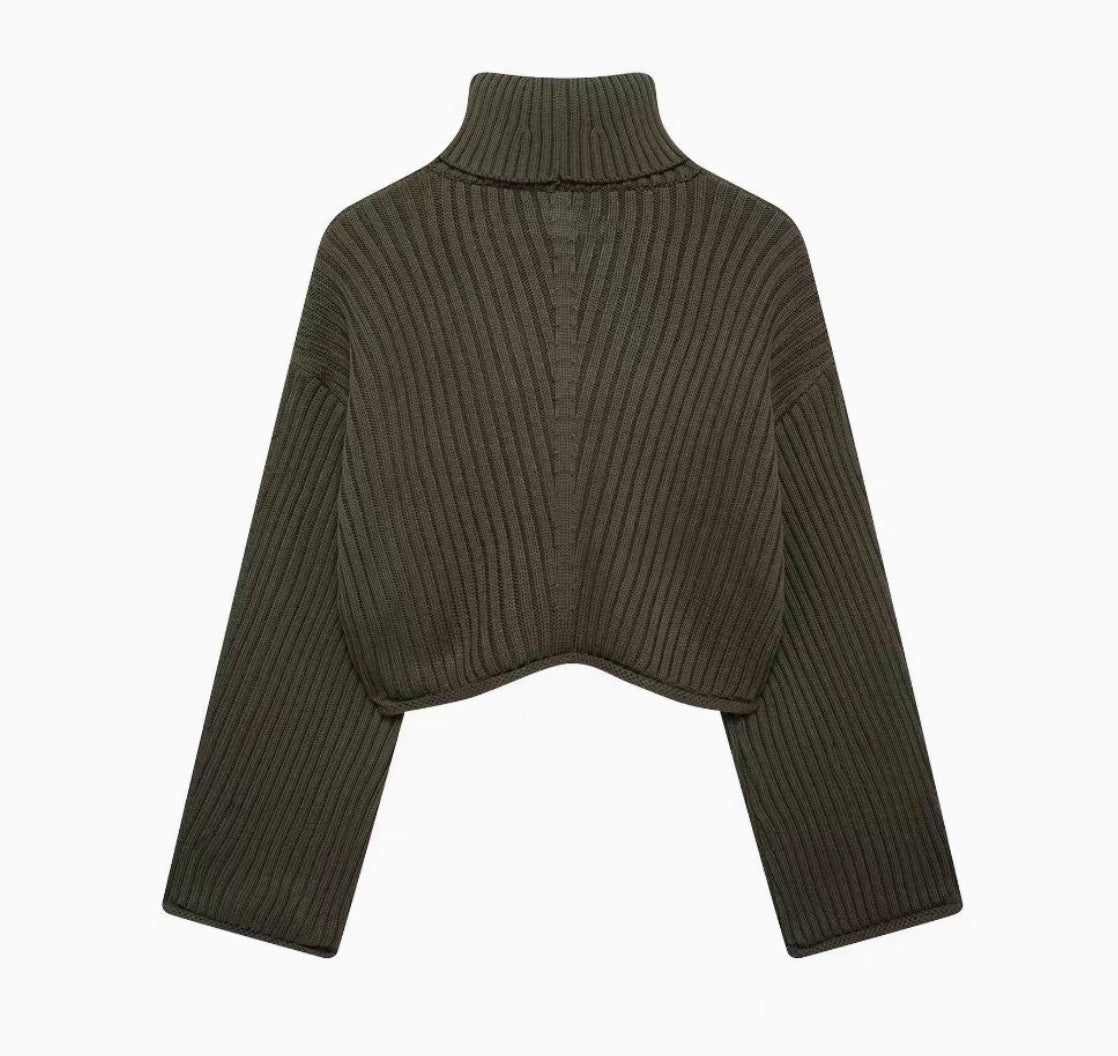Bauchfreier Rollkragerpullover aus Strick für Frauen