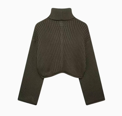 Bauchfreier Rollkragerpullover aus Strick für Frauen
